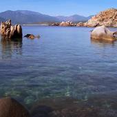 Small pleasures of life icon