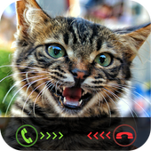 Fake Call: Cat Caller ID icon