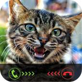 Fake Call: Cat Caller ID