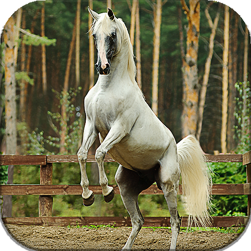 Horses Live Wallpaper (wallpapers &amp; backgrounds) icon