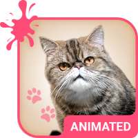 Grumpy Animated Keyboard   Live Wallpaper on 9Apps