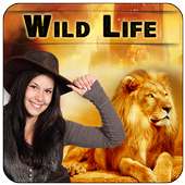 Wild Life Photo Editor on 9Apps