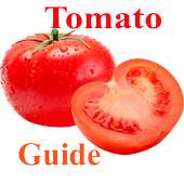 Tomato Production Guide for Tropical regions on 9Apps