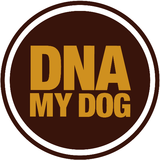 DNA My Dog icon