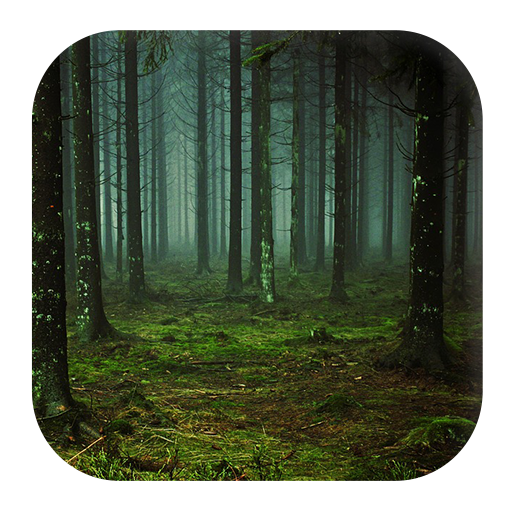 Forest Sounds icon