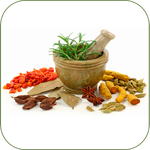 Remédios Caseiros icon