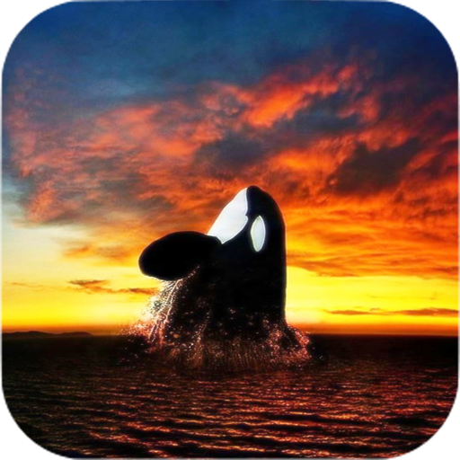 Ocean Animals Wallpapers icon