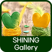 Shining Gallery icon