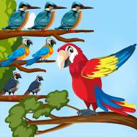 Bird Sort Color Puzzle Game