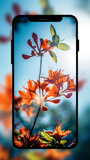 HD Wallpaper & 4k Wallpaper screenshot 2