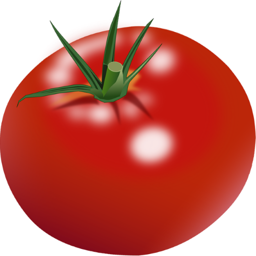 Focus Tomato иконка