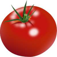 Focus Tomato on 9Apps
