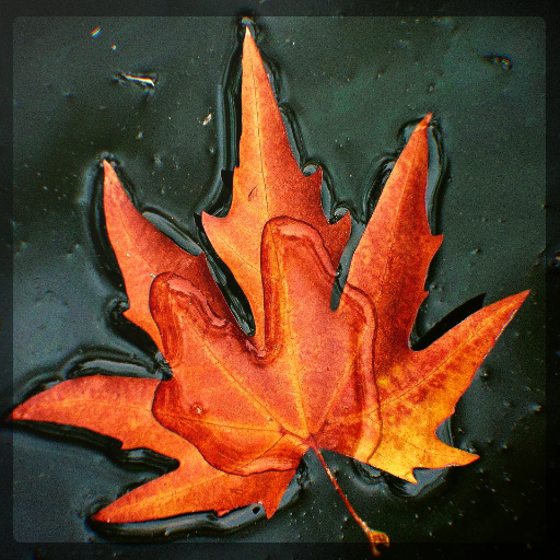 Kashmiri Calendar (Koshur | Hindu Calendar) icon