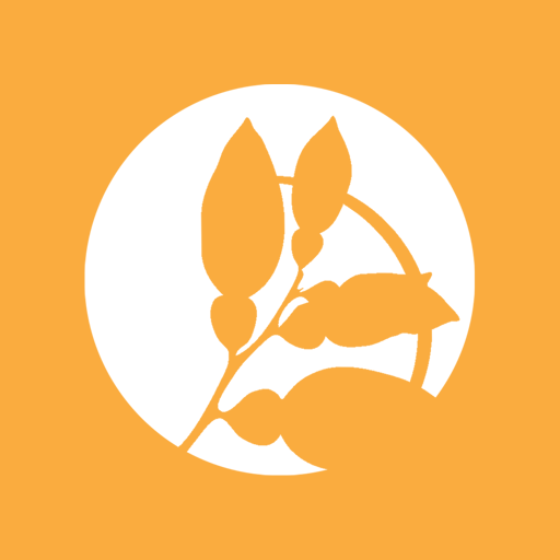 Transforming Truth App icon