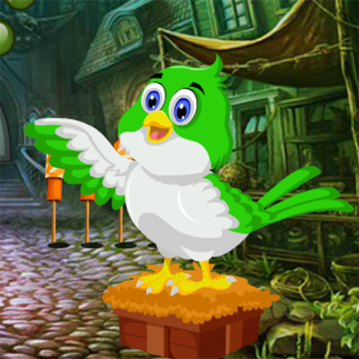 Bird Rescue From Old House Best Escape Game-338 icon