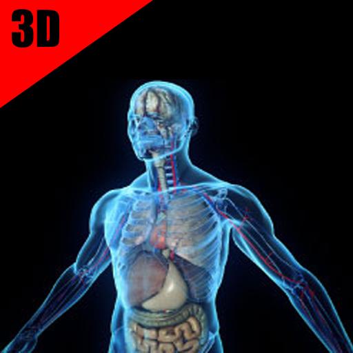 Anatomy and Physiology Systems иконка