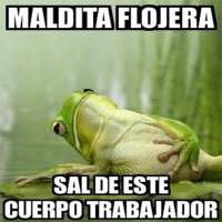 Imágenes graciosas on 9Apps