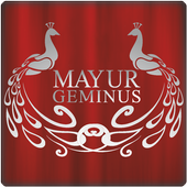 Bunty Group- Mayur Geminus icon