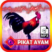 Suara Pikat Ayam Hutan on 9Apps