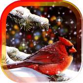 Snow Birds Songs HD LWP