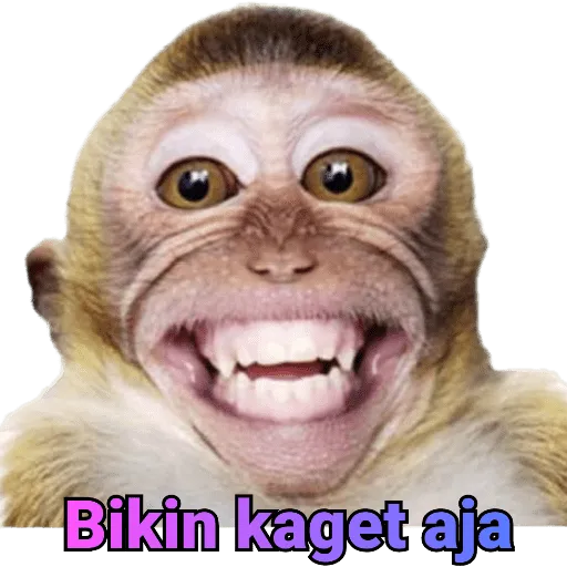 ikon Perang Gambar Monyet - WAStickersApp