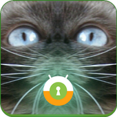 Blue Cat Wall &amp; Lock icon