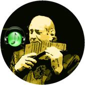 Musical Instrument The Maestro Gheorghe Zamfir icon