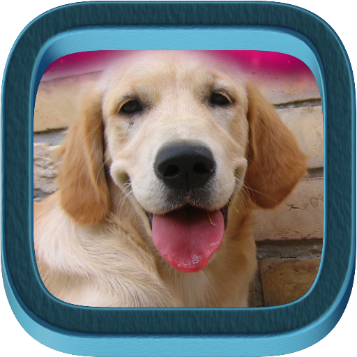 Golden Retriever иконка