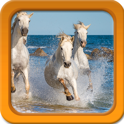 Horse Live Wallpapers icon