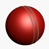 Cricket 2 icon