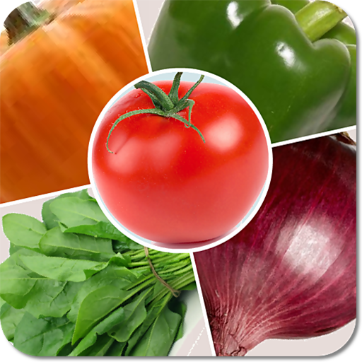 Kids Learn Vegetable Game icon