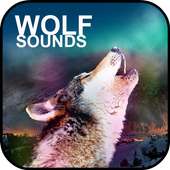 Wolf Sounds on 9Apps