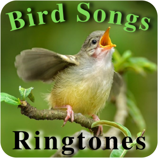Bird Songs Ringtones icon
