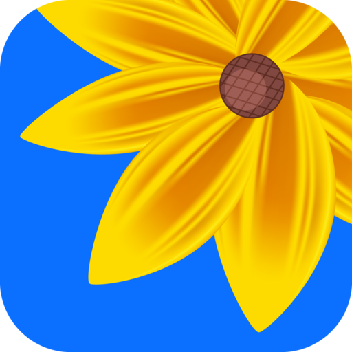 gallery album photo icon