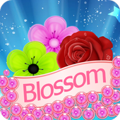 Blossom Bubble icon