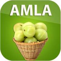 Amla Benefits on 9Apps