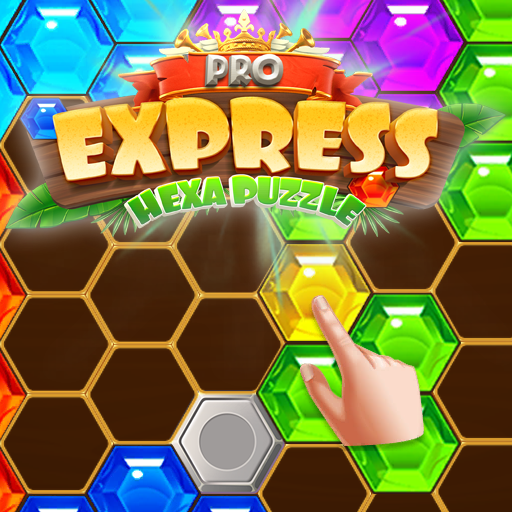 Express Pro Hexa Puzzle Fill icon