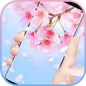 Sakura &amp; cherry blossom Live Wallpaper icon