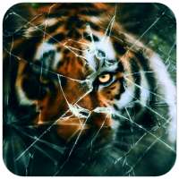 Cracked Screen Wallpaper on 9Apps