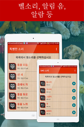 전화 용 동물 벨소리, 새로운 동물 소리 앱 screenshot 9