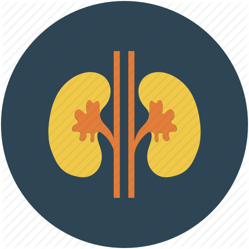 Nephrology Secrets icon
