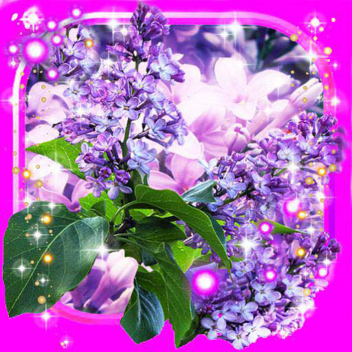 Lilac Tender LWP icon