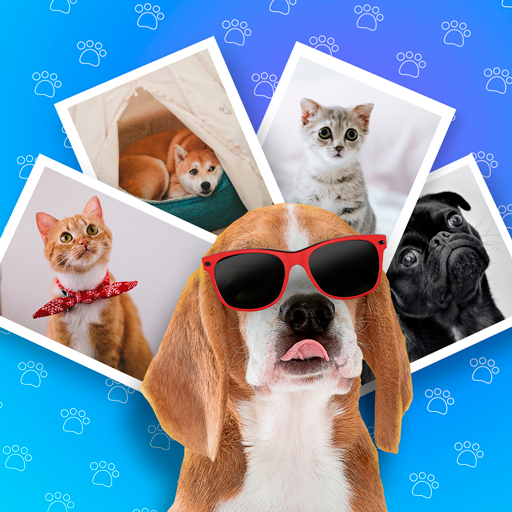 Pets photo editor icon