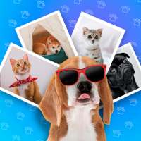 Pets photo editor