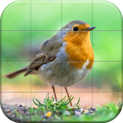 Sparrows Puzzle icon