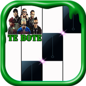 Te bote Piano Game icon