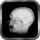 Brain Scan Live Wallpaper icon