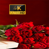 Rose Flower 3D Wallpaper icon