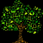 Money Tree icon