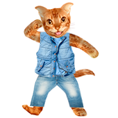 Funny Talking Cat icon